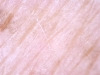 image-6411997c61633a7f9aed7a9f9df58fc3c33cf9c9