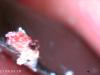 img00276-91437ec5d232d6565332814d577574a364cb087a