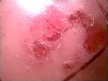 images_sizedimage_218140819.jpg