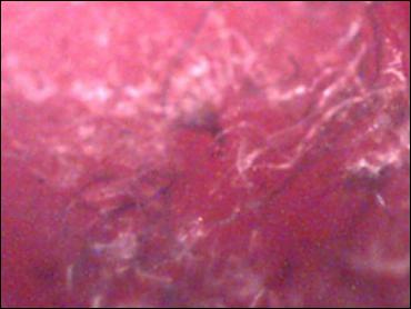 images_sizedimage_218142403.jpg